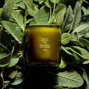 NWOT Flamingo Estate Adriatic Muscatel Sage Scented Candle Full Size